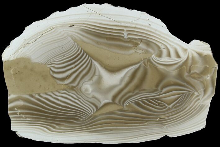 Polished, Striped Flint Slab - Poland #184804